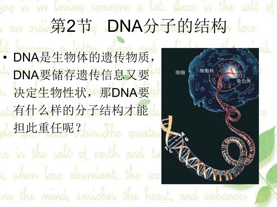 人教版教学课件绝对精选!dna分子的结构【原创】_第1页