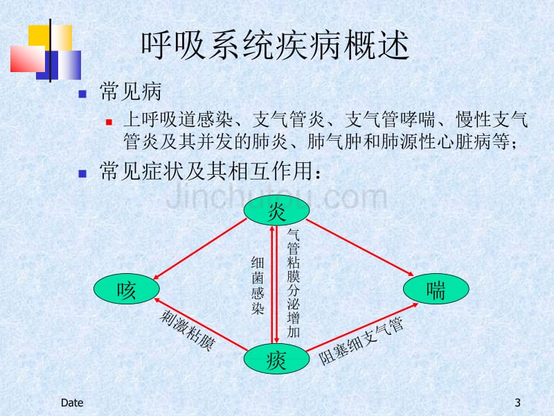 呼吸系统用药92幻灯片_第3页