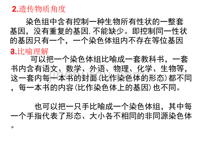 染色体组的理解与判断_第2页