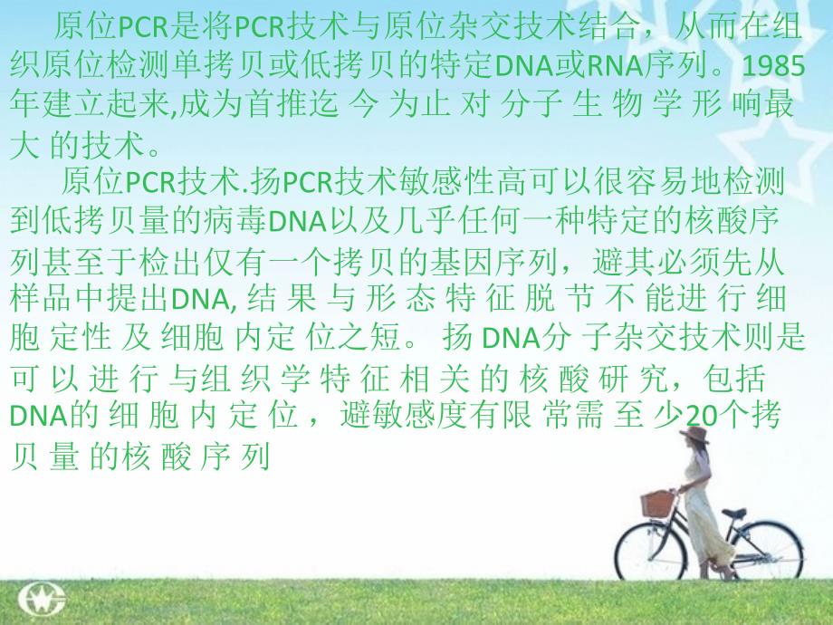 原位pcr技术_第2页