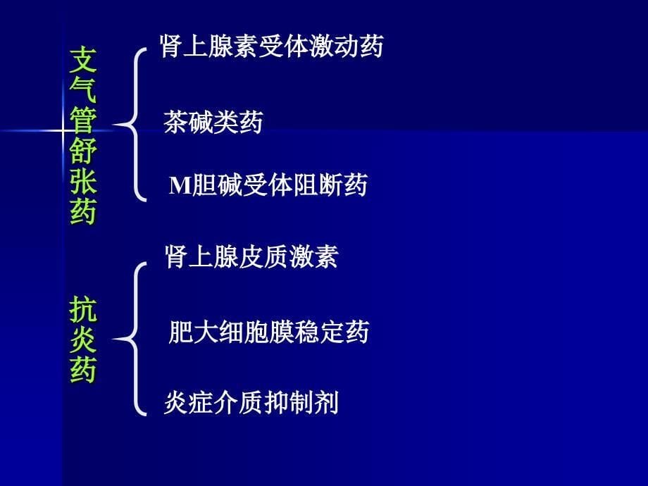 呼吸系统药物1幻灯片_第5页