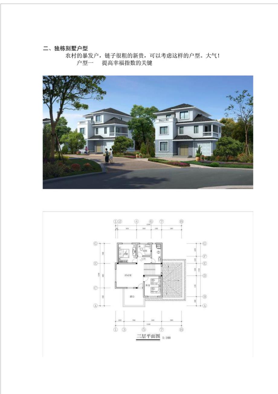 农村建房新款式建筑资料图_第3页