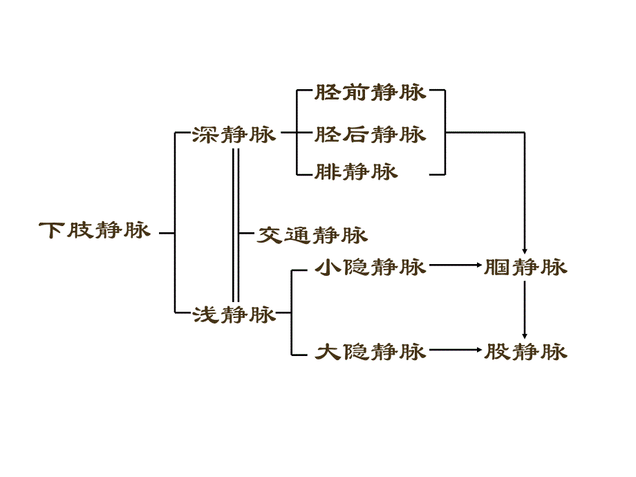 下肢静脉曲张的综合治疗_第4页