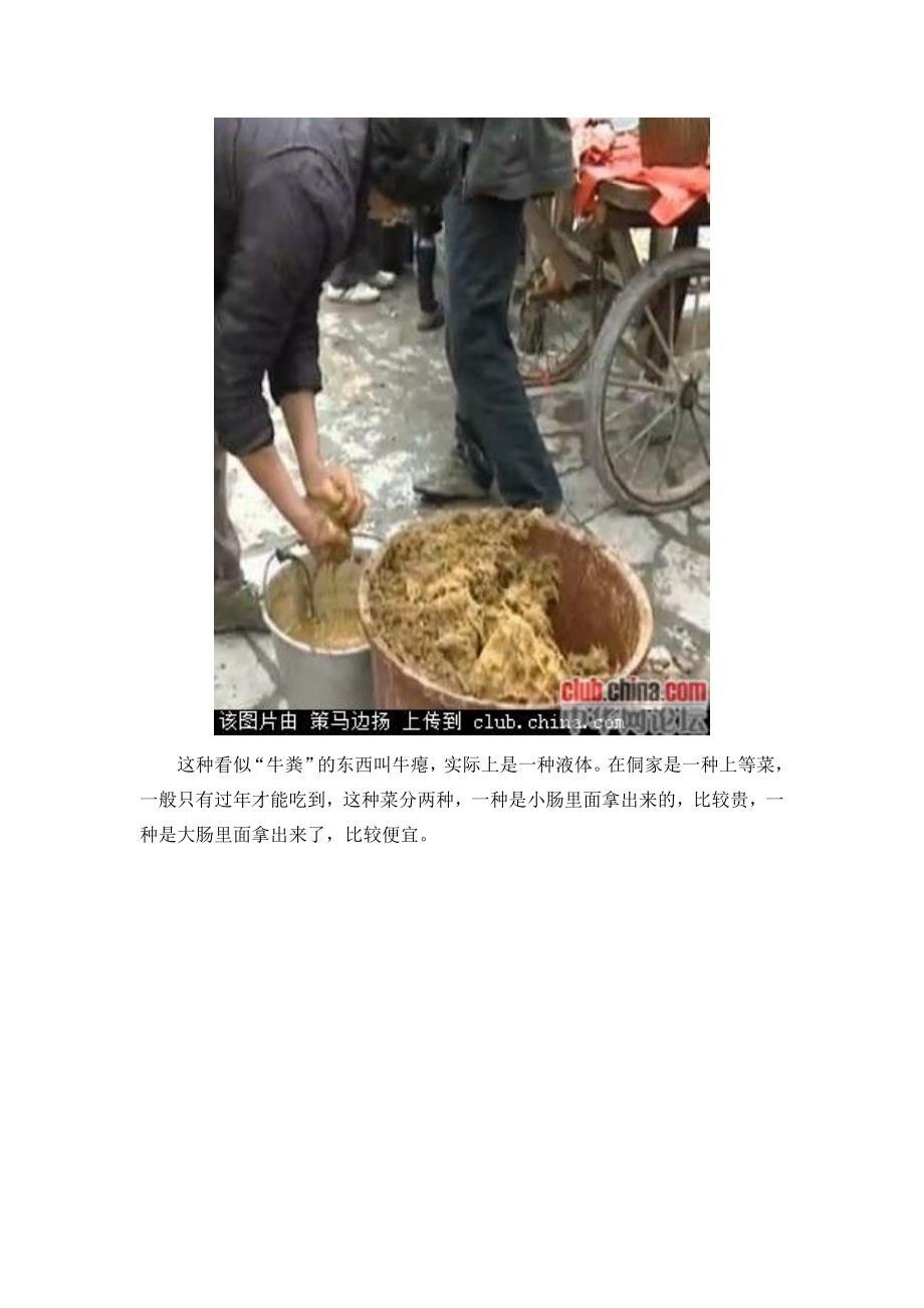 动物粪便的惊人用途_第3页