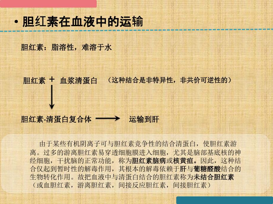 生物化学与分子生物学——胆色素的代谢与黄疸_第5页