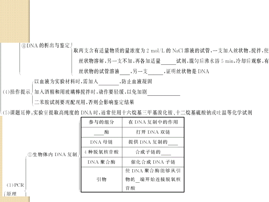 2012高三生物复习课件：专题3 dna和蛋白质技术(人教版选修1)_第4页