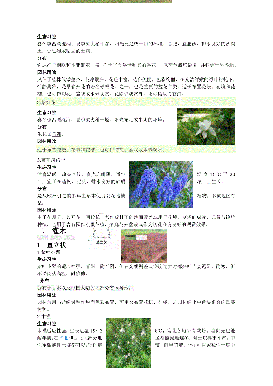 园林植物造景_第4页