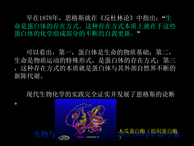 生物化学课件(王镜岩版)第4章 蛋白质的共价结构_第2页