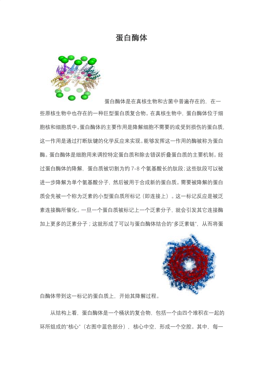 泛素-蛋白酶体_第1页