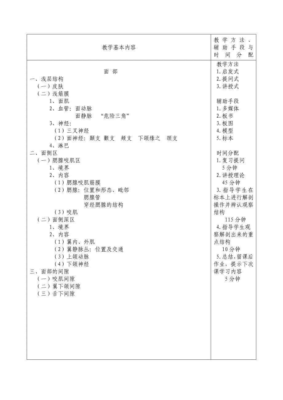 局部解剖学教案_第5页