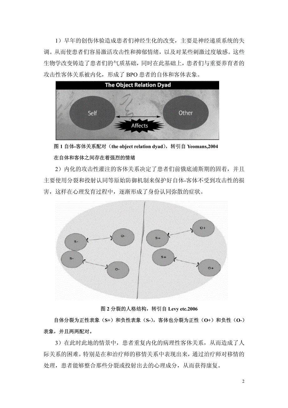 移情焦点治疗pdf_第2页