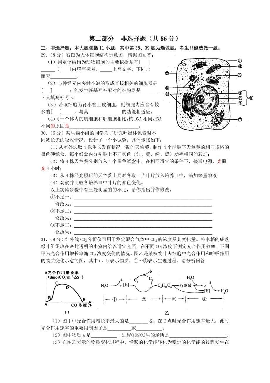 高三模拟考试题_第5页