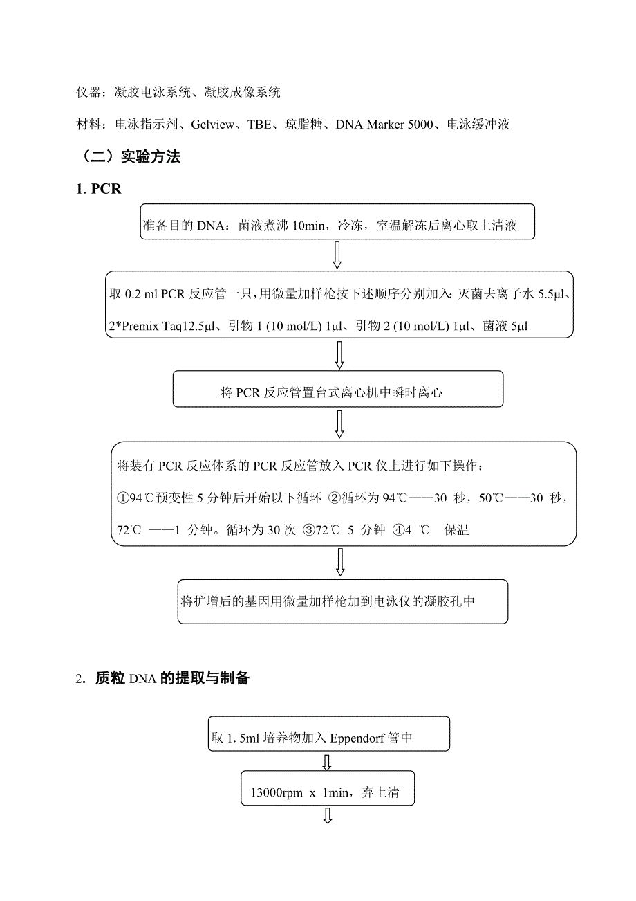 质粒DNA的提取、定量、酶切与PCR鉴定实验报告_第4页