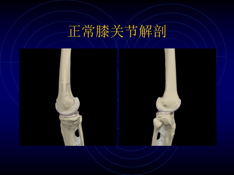 膝关节损伤常用检查法_第4页