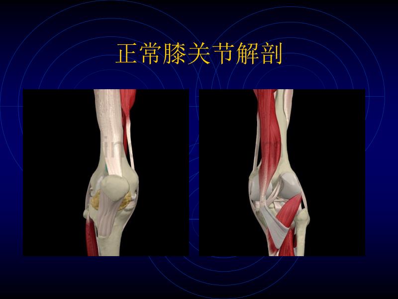 膝关节损伤常用检查法_第5页