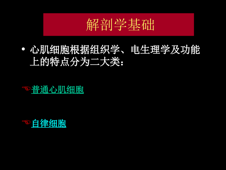 致命性心律失常的治疗_第2页