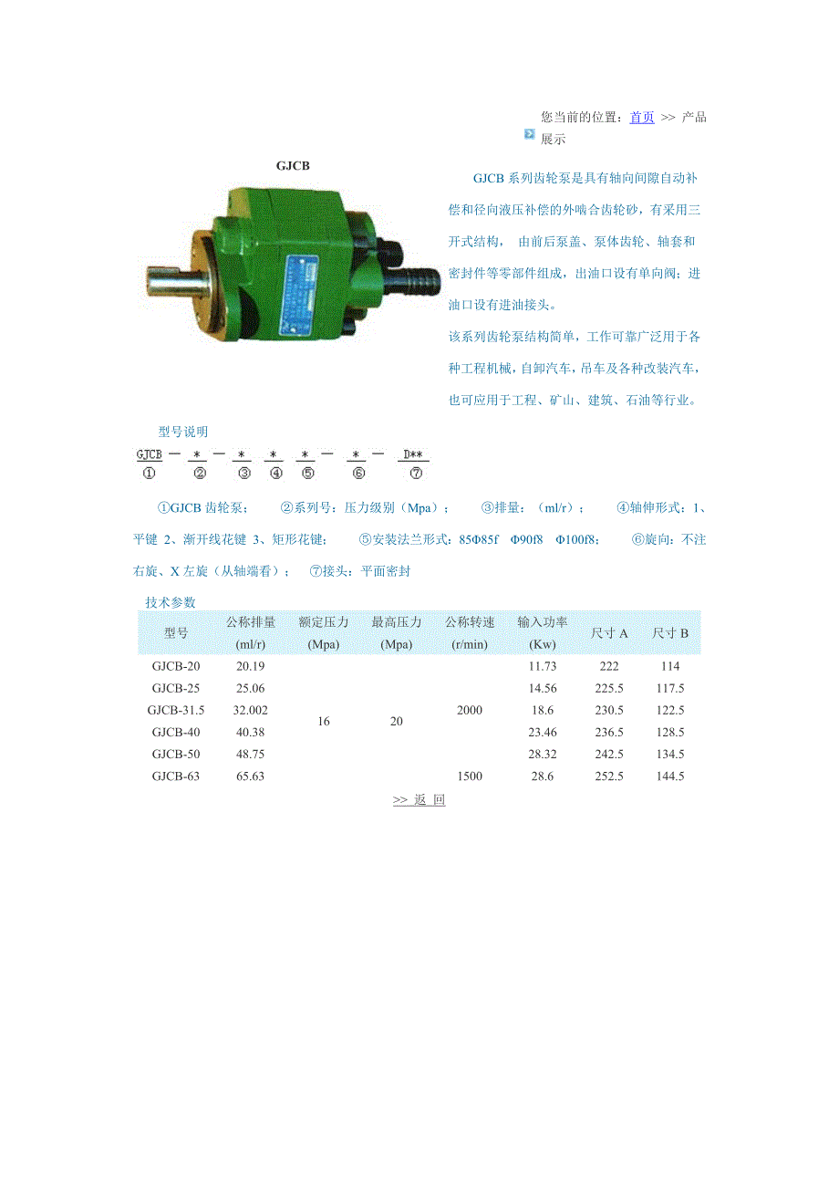 齿轮泵型号说明_第1页