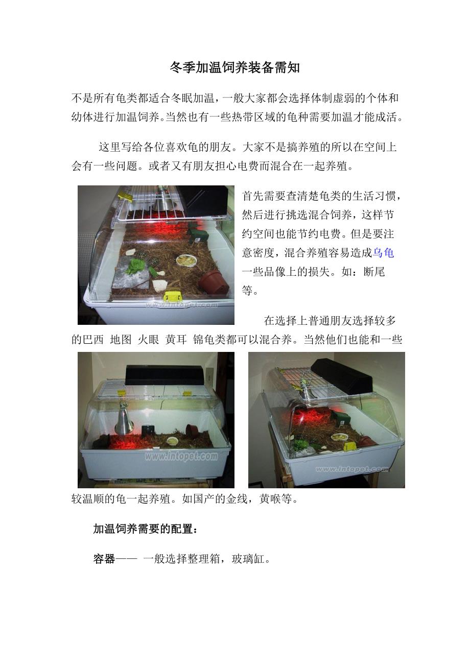 爬虫冬季加温饲养_第1页