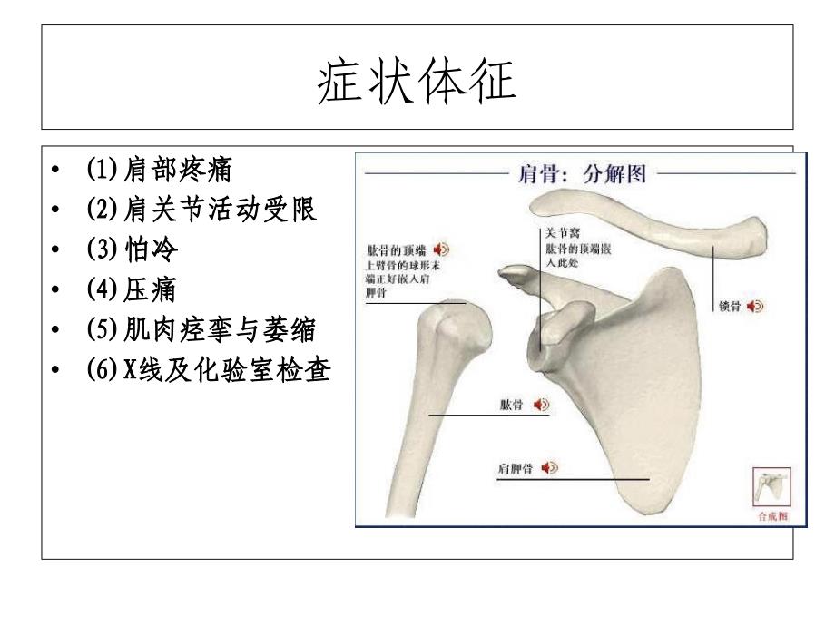 肩周炎的护理_第3页