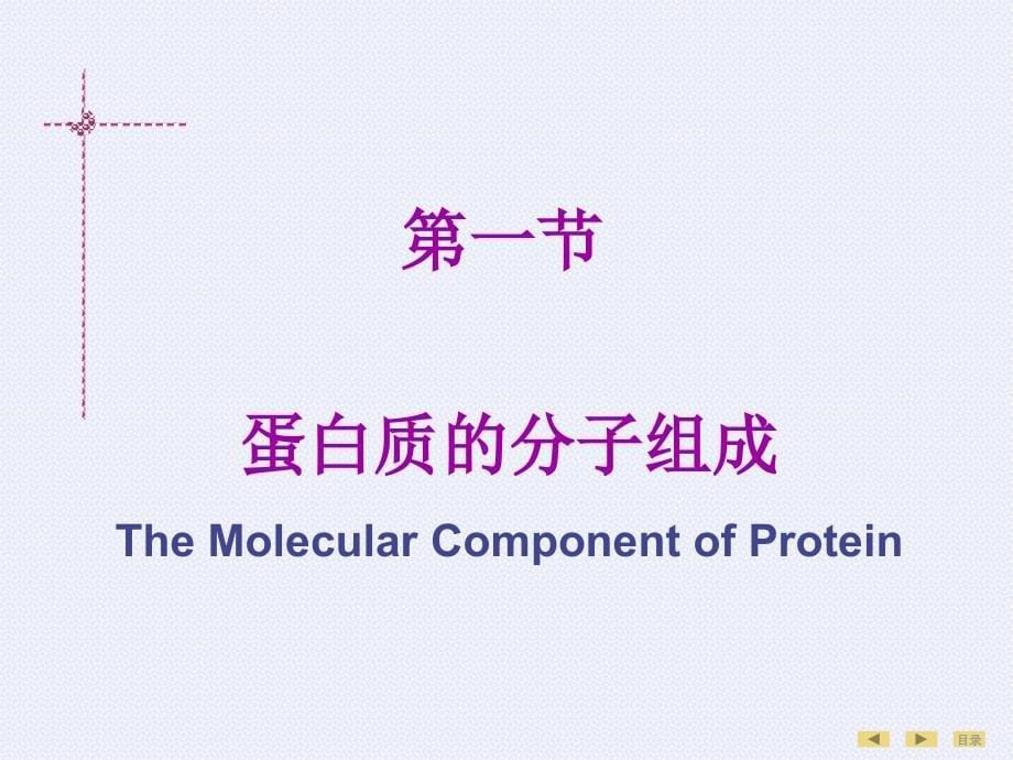 生物化学与分子生物学(人卫版)教材课件全集_第5页