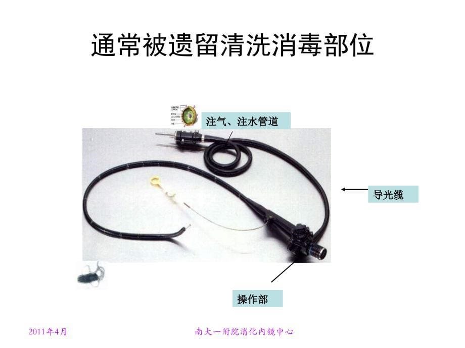 内镜清洗消毒规范化操作与管理_第5页