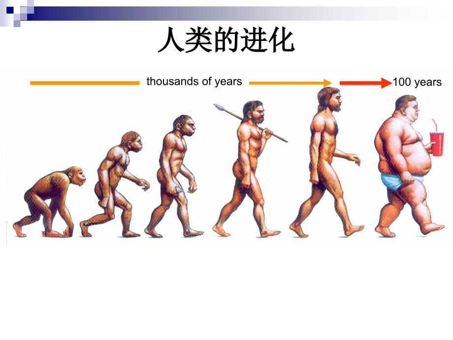 脂肪因子与高血压_第3页