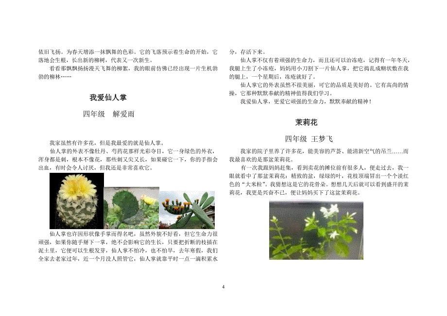 白旄镇朱崔完小蓓蕾苑文学社_第5页