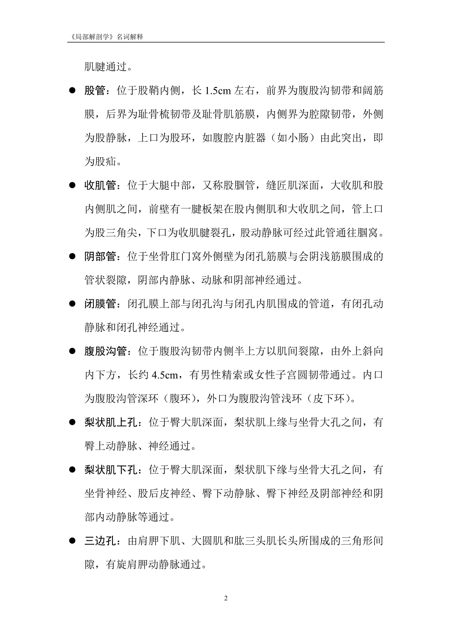 局部解剖学名词解释_第2页