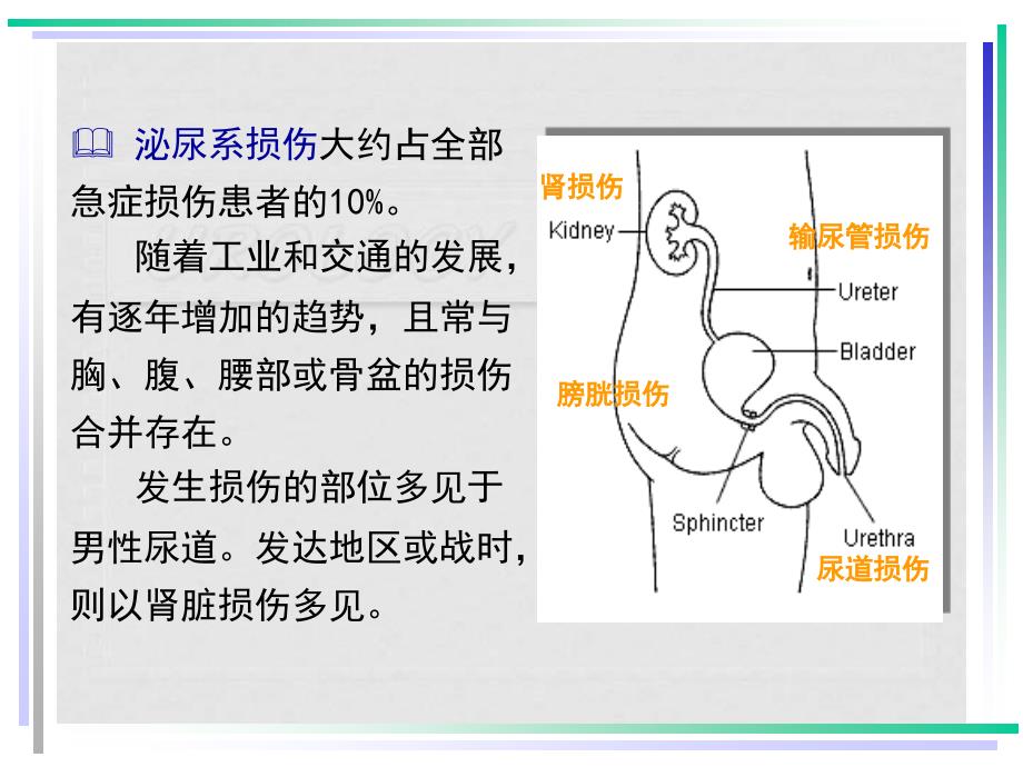 泌尿系统损伤课件_第4页