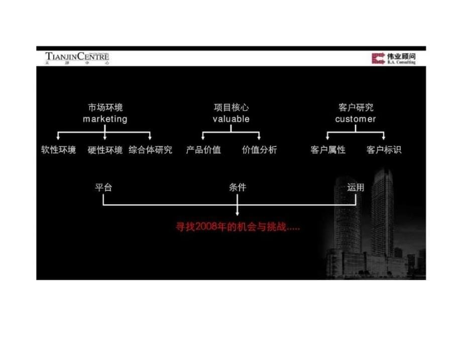 天津中心都市综合体项目营销策划提案_第5页