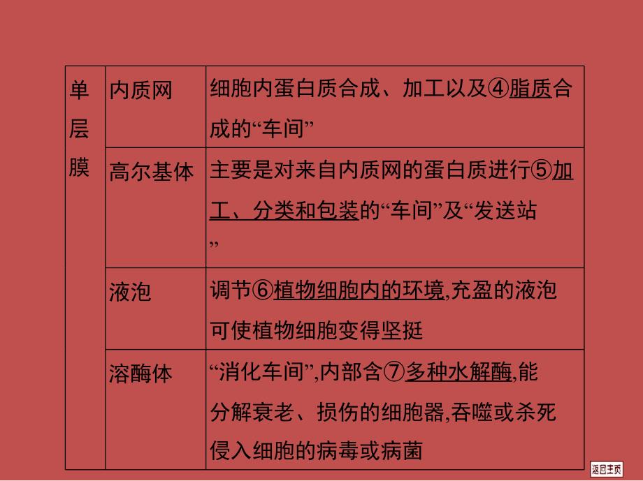 2014届高三一轮复习 2.2 细胞器—系统内的分工合作_第3页