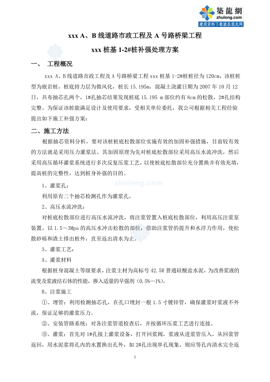 广东大桥工程桩基补强处理施工方案_第1页