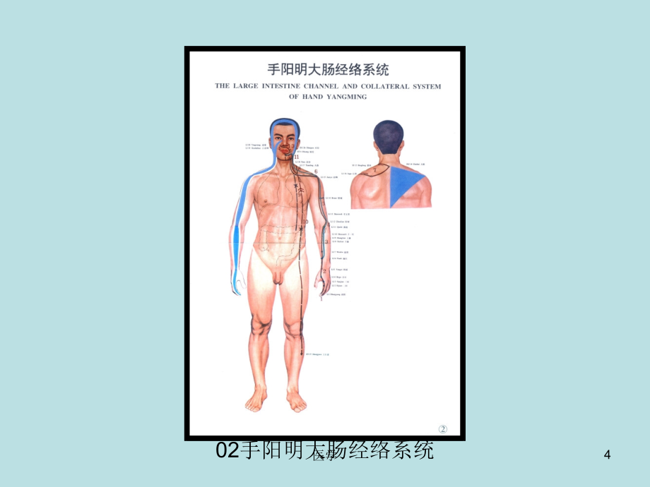 《中医全息图(图文相册)》_第4页