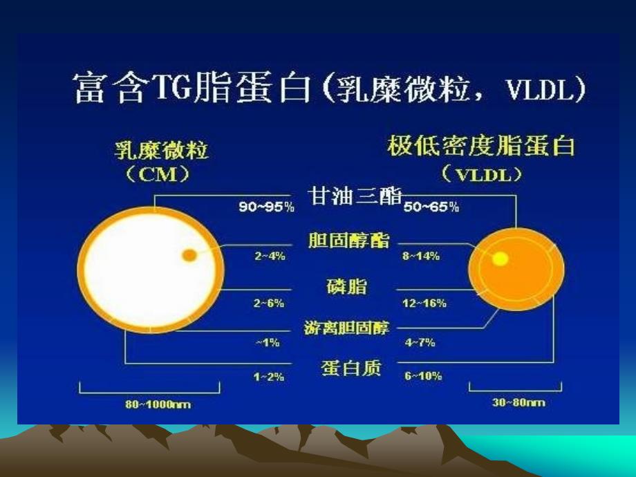 降低甘油三酯在冠心病防治中的地位与作用_第3页