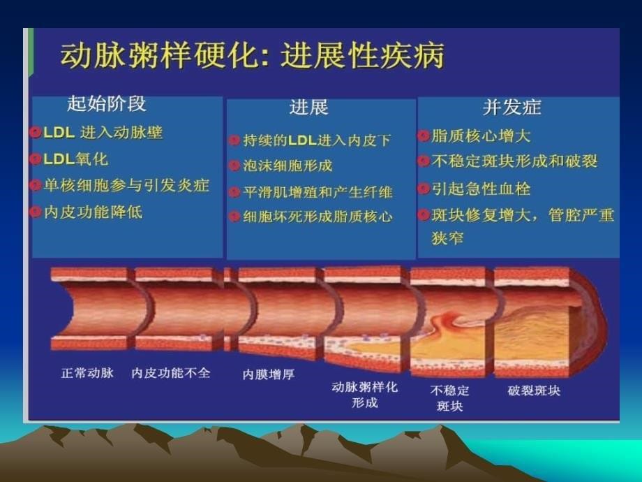 降低甘油三酯在冠心病防治中的地位与作用_第5页