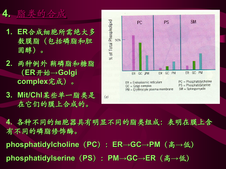 南师大细胞生物学 考研课件 第7章+细胞内膜系统(续)_第1页