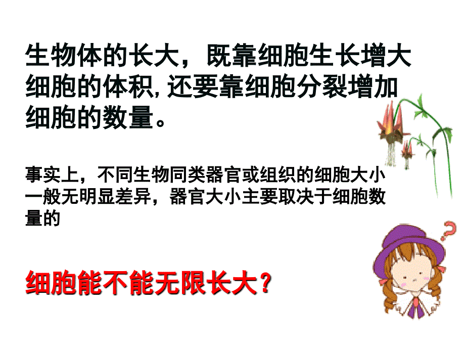 细胞增殖课件_第4页