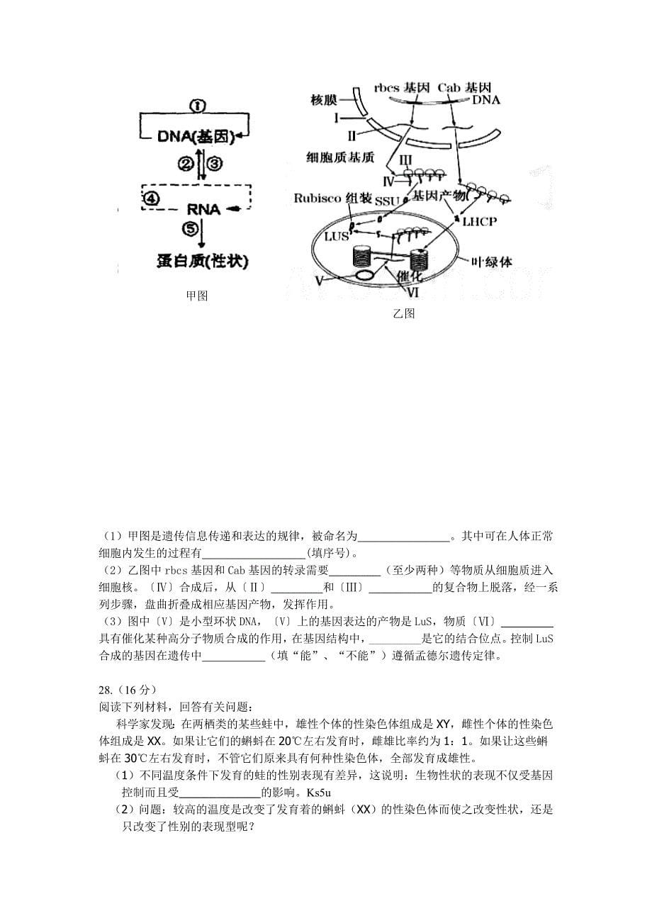 梅州市皇华中学2013届高三上学期第一次月考(理综)_第5页