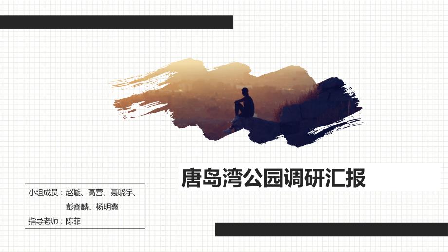 唐岛湾滨海公园调研汇报_第1页