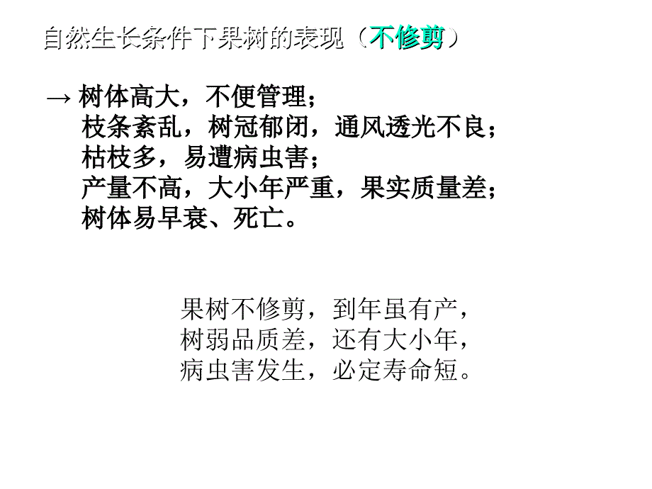 第八章_果树整形修剪_第4页