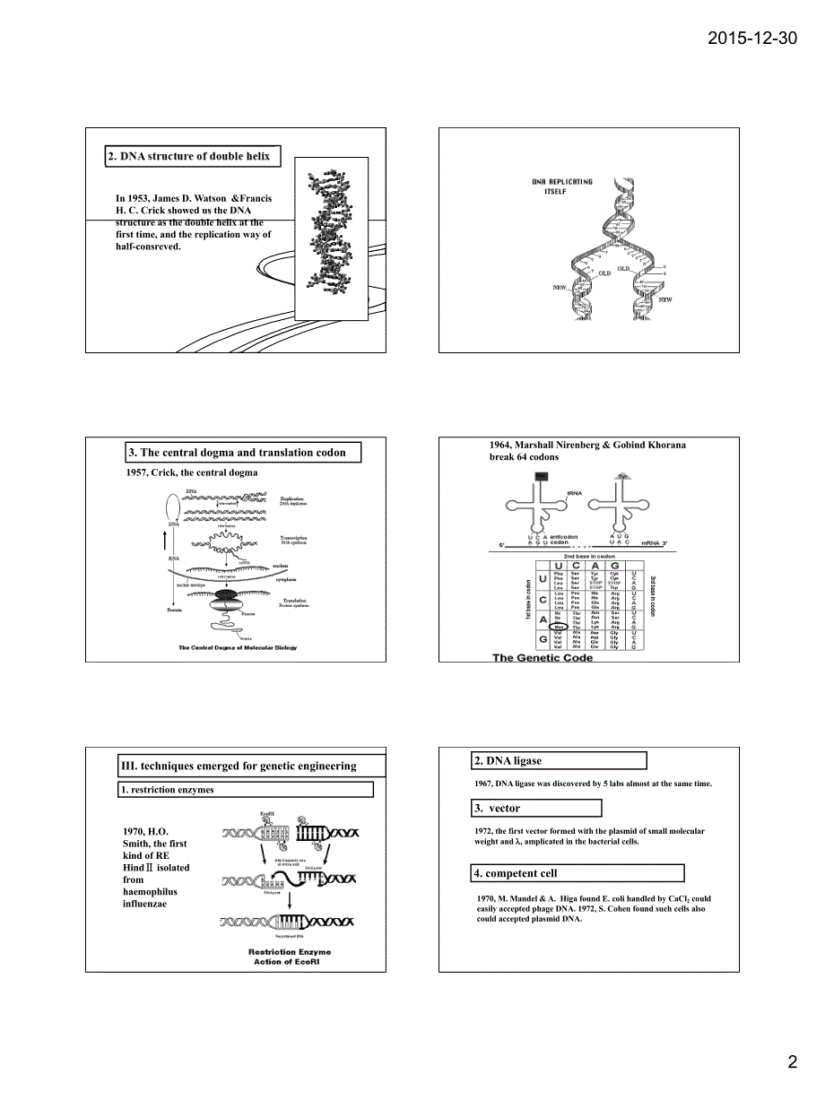 分子细胞学和基因工程上课课件版_第2页