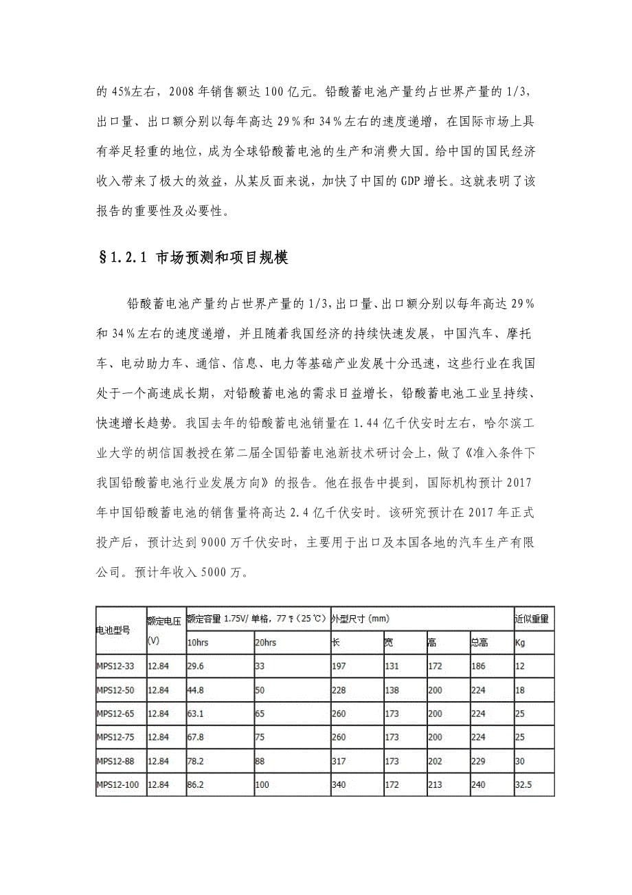 铅酸蓄电池项目可行性研究报告-工业项目格式模板_第5页