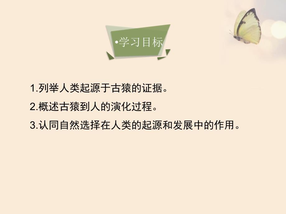 《人类的起源》教学课件(28张)_第3页