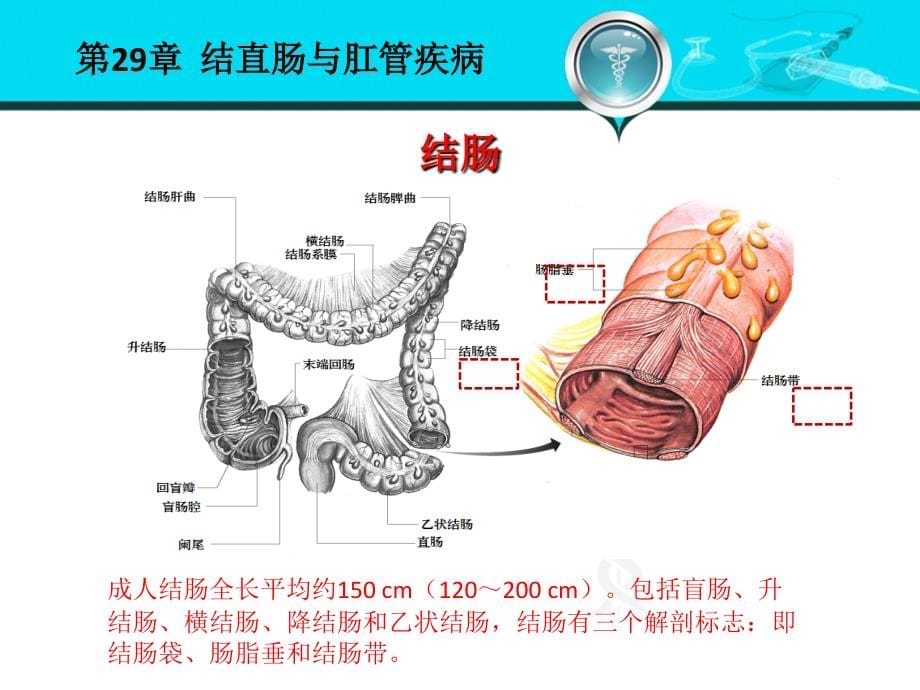 外科学第八版结直肠与肛管疾病_第5页