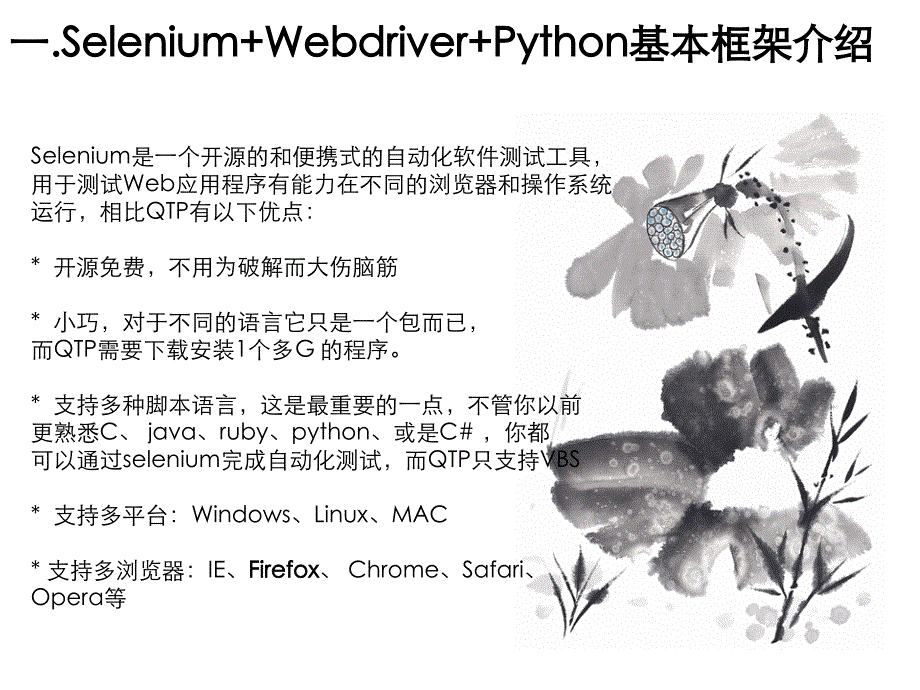 Selenium+Webdriver+Python自动化测试环境_第3页