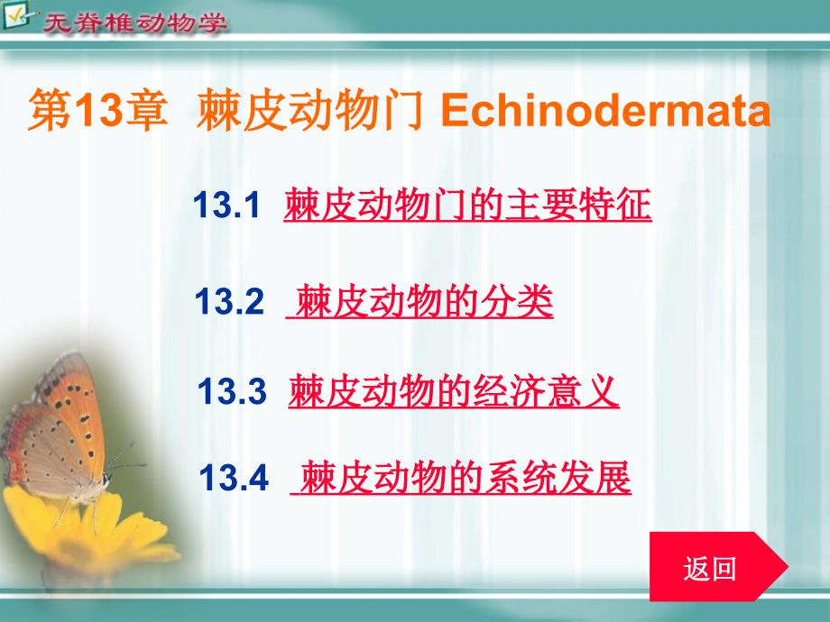 棘皮动物门课件_第1页