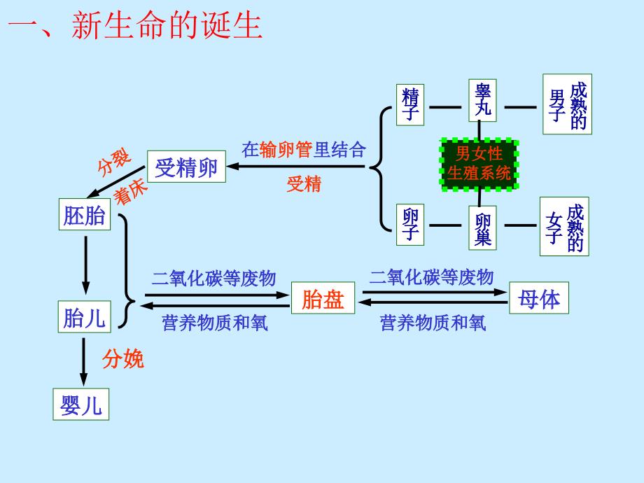 浙教版七年级科学上册：第一章复习课件 (共50张)_第2页