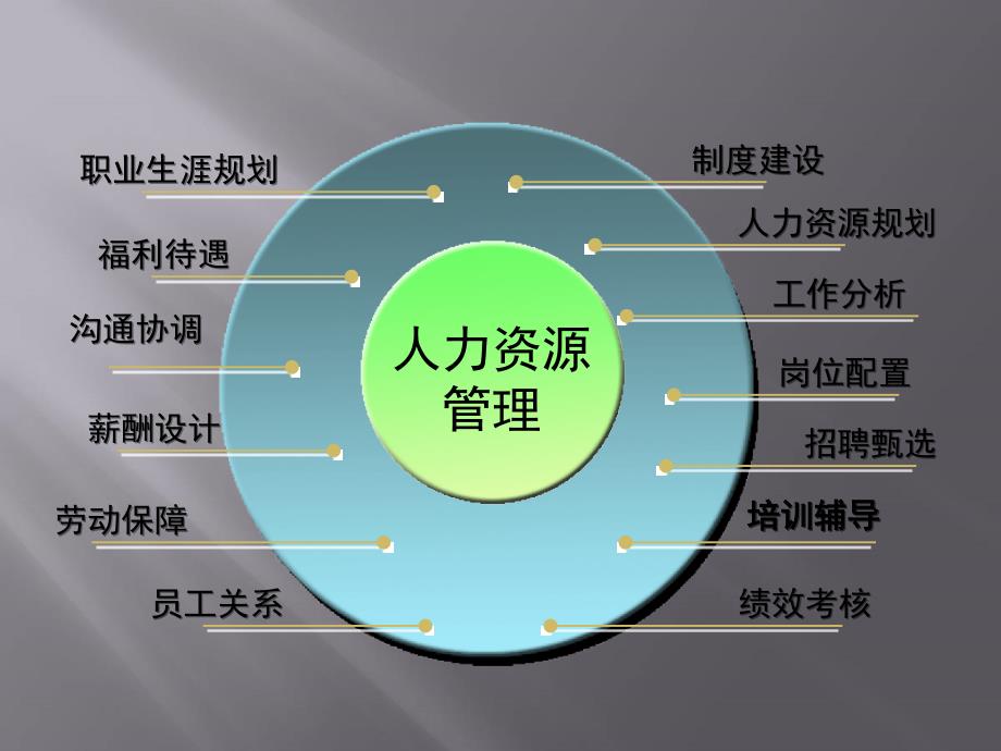 人力资源管理职业素养与技能实务_第2页