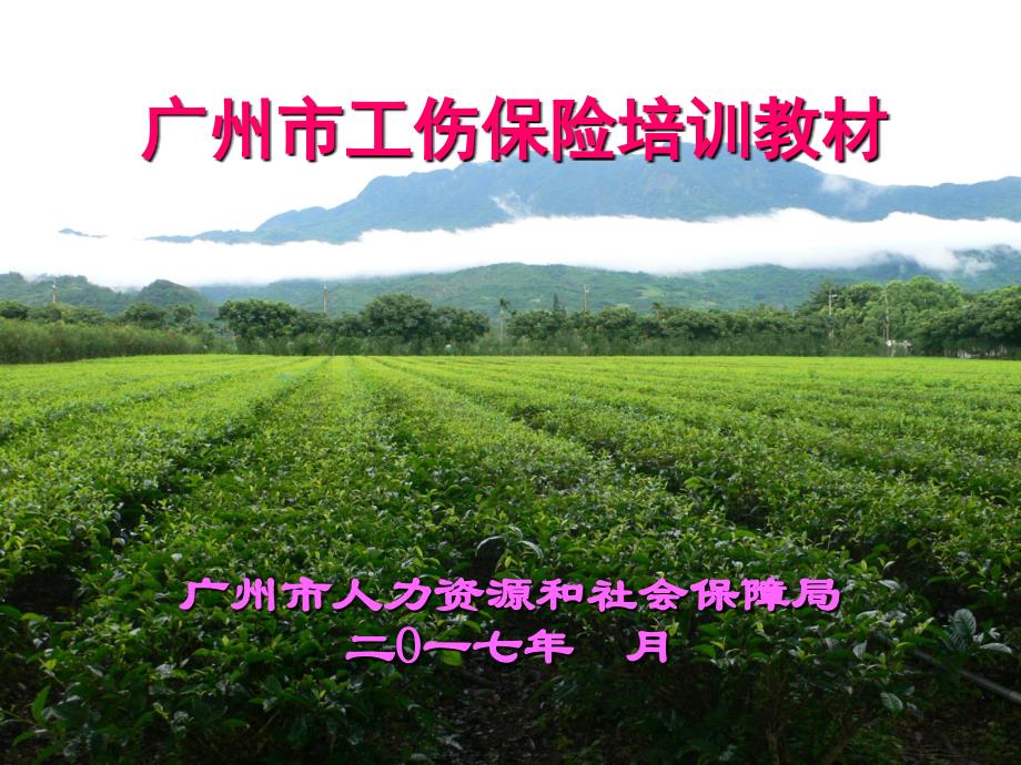 工伤培训资料(公开)_第1页