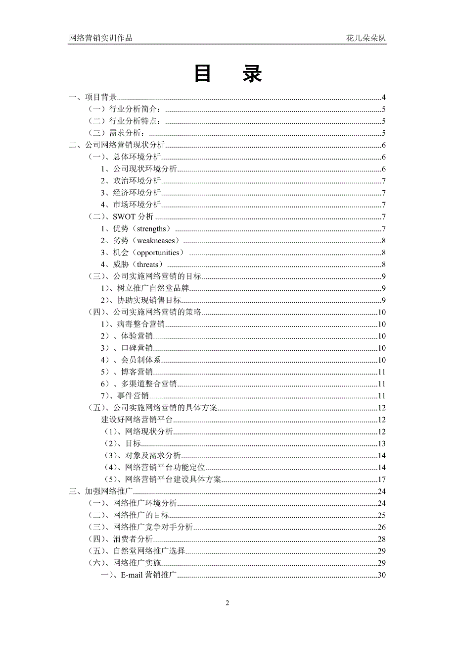 自然堂网络营销策划书及网络推广_第2页